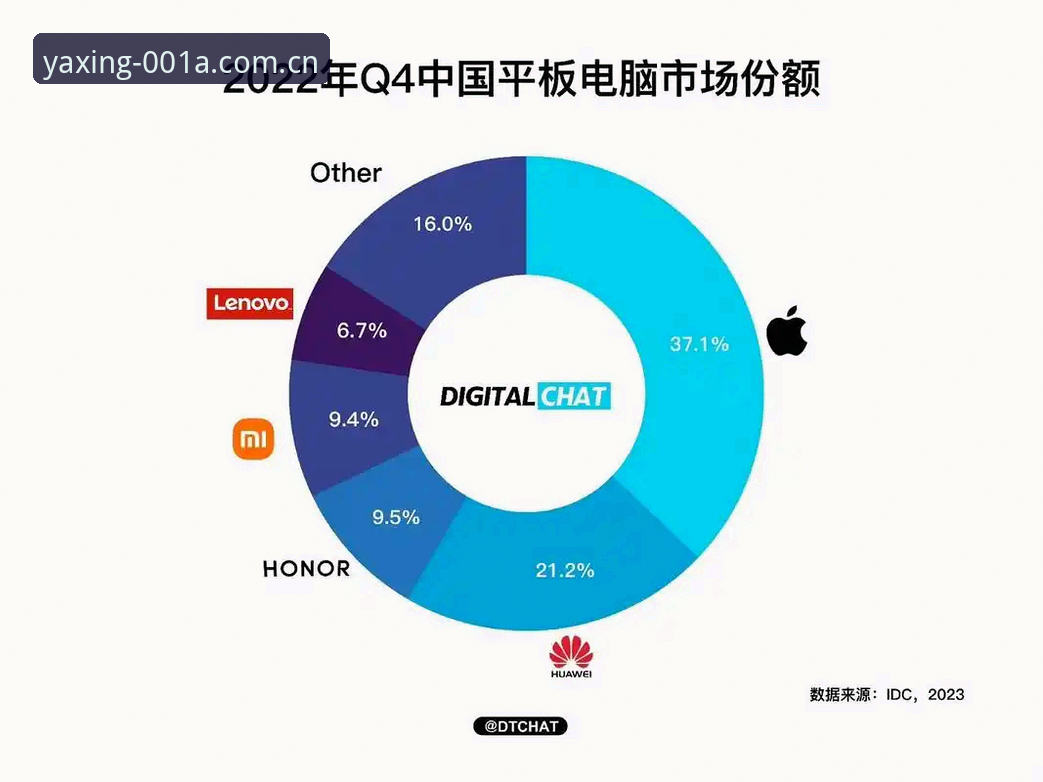 亚星中国区电脑网页版问题排查指南：从安装到数据查看